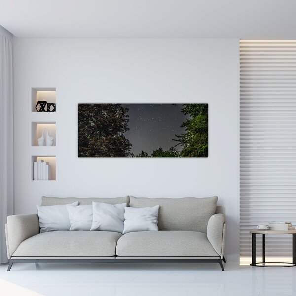 Tablou cu cerul nocturn (120x50 cm)