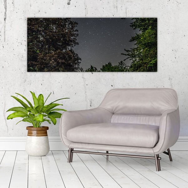 Tablou cu cerul nocturn (120x50 cm)
