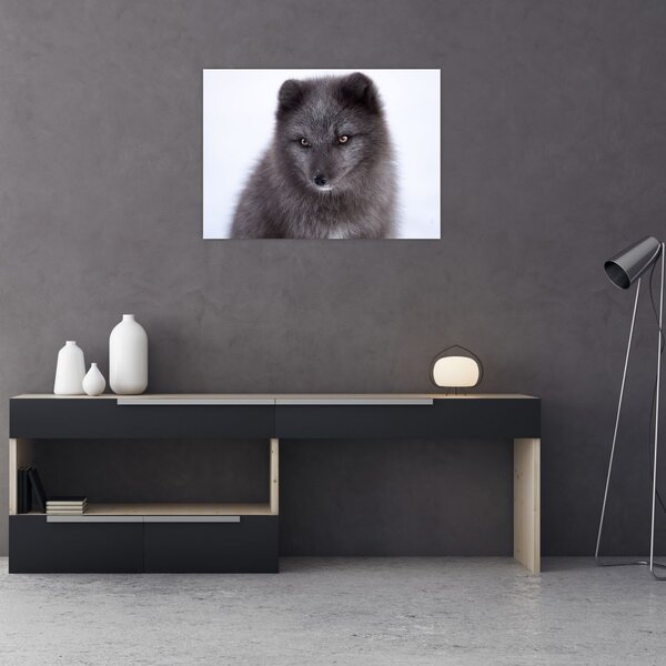 Tablou cu vulpe polară (70x50 cm)