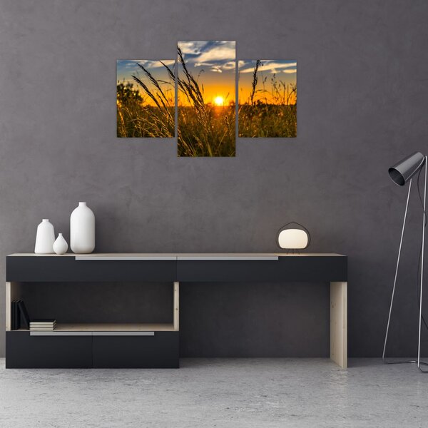 Tablou cu câmp în apus de soare (90x60 cm)