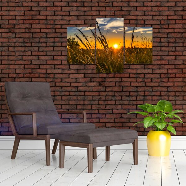 Tablou cu câmp în apus de soare (90x60 cm)