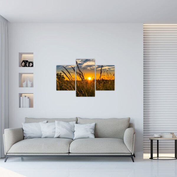 Tablou cu câmp în apus de soare (90x60 cm)