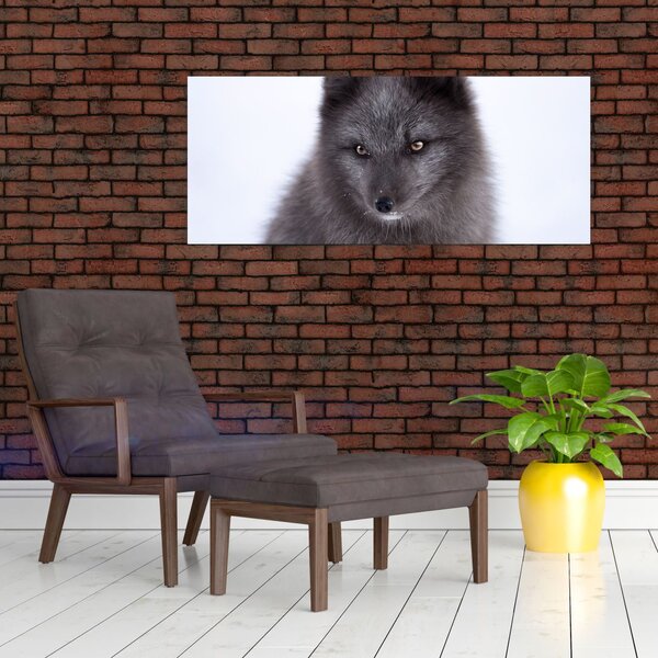 Tablou cu vulpe polară (120x50 cm)