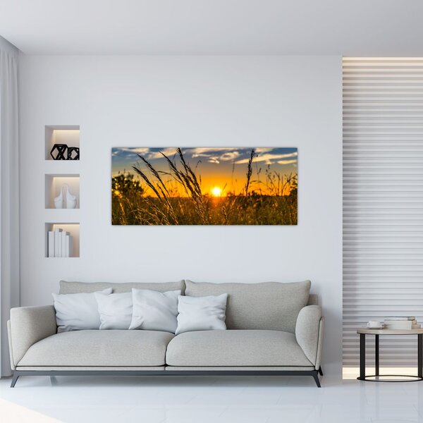 Tablou cu câmp în apus de soare (120x50 cm)