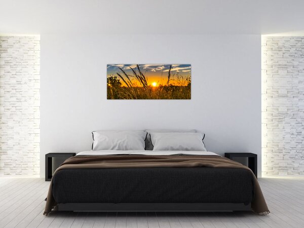 Tablou cu câmp în apus de soare (120x50 cm)