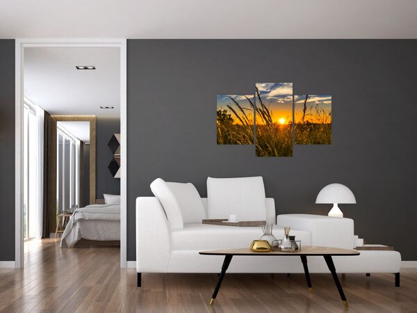 Tablou cu câmp în apus de soare (90x60 cm)