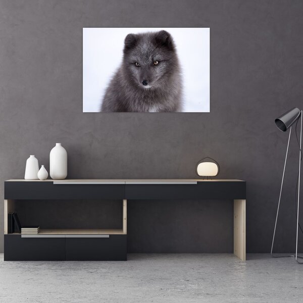 Tablou cu vulpe polară (90x60 cm)