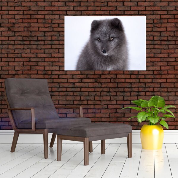 Tablou cu vulpe polară (90x60 cm)