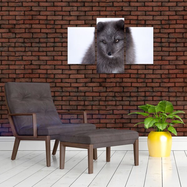 Tablou cu vulpe polară (90x60 cm)