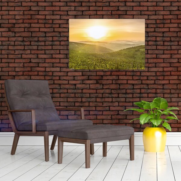 Tablou panoramatic (90x60 cm)