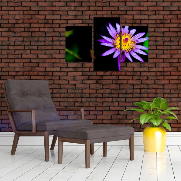 Tablou cu floare (90x60 cm)