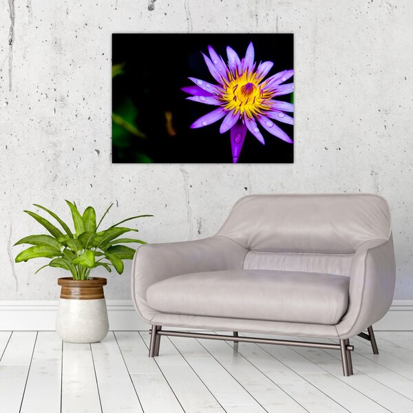 Tablou cu floare (70x50 cm)
