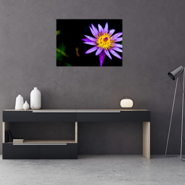 Tablou cu floare (70x50 cm)