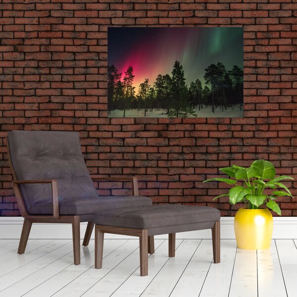 Tablou cu Northern Lights (90x60 cm)