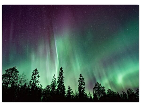 Tablou cu Northern Lights (70x50 cm)