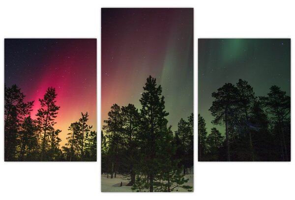 Tablou cu Northern Lights (90x60 cm)