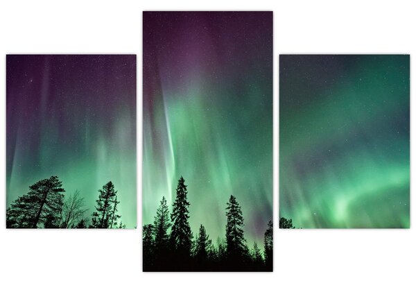 Tablou cu Northern Lights (90x60 cm)