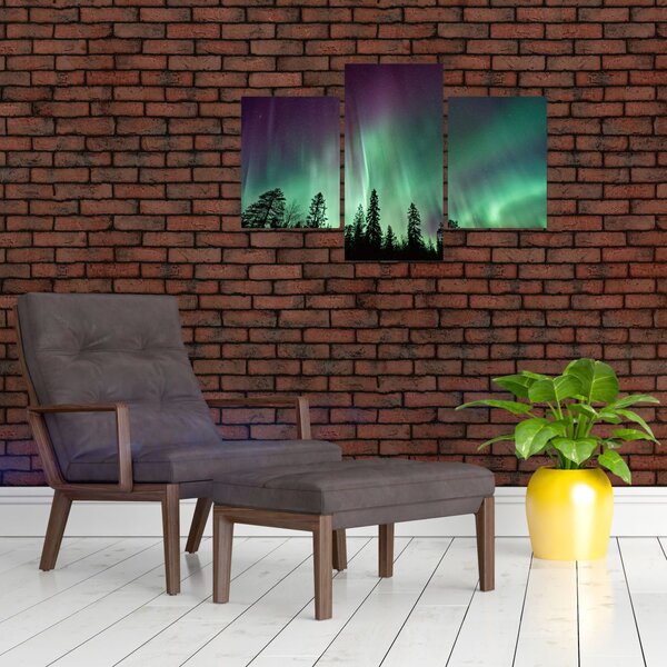 Tablou cu Northern Lights (90x60 cm)