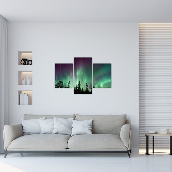 Tablou cu Northern Lights (90x60 cm)