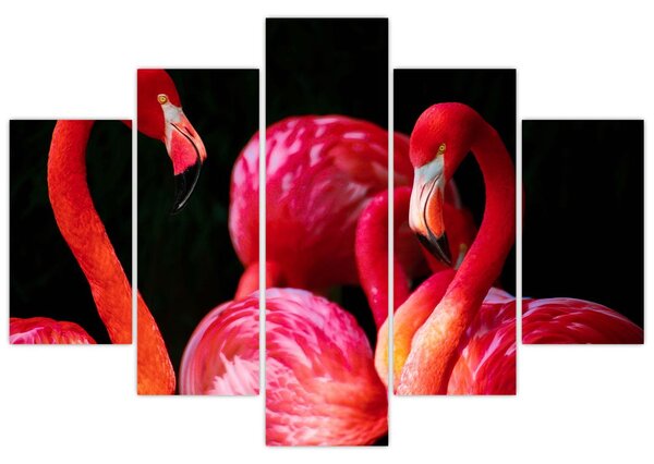 Tablou cu flamengo roșii (150x105 cm)
