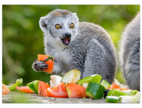 Tablou cu lemur (70x50 cm)