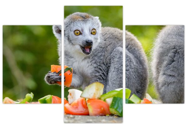 Tablou cu lemur (90x60 cm)