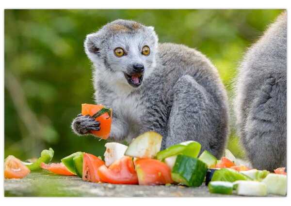 Tablou cu lemur (90x60 cm)