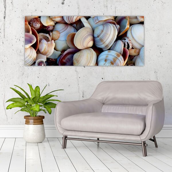 Tablou cu scoici (120x50 cm)