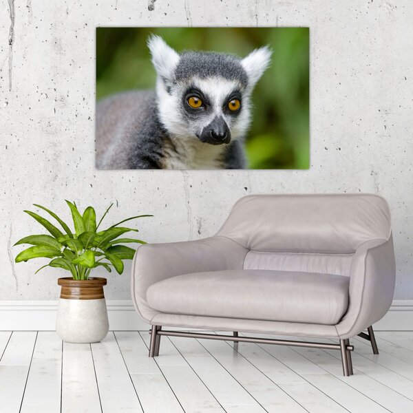 Tablou cu lemur (90x60 cm)
