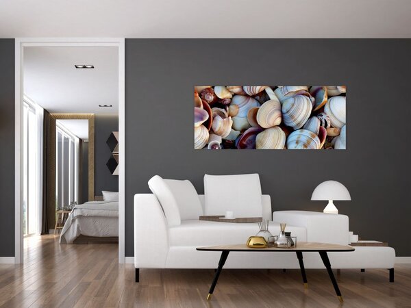 Tablou cu scoici (120x50 cm)