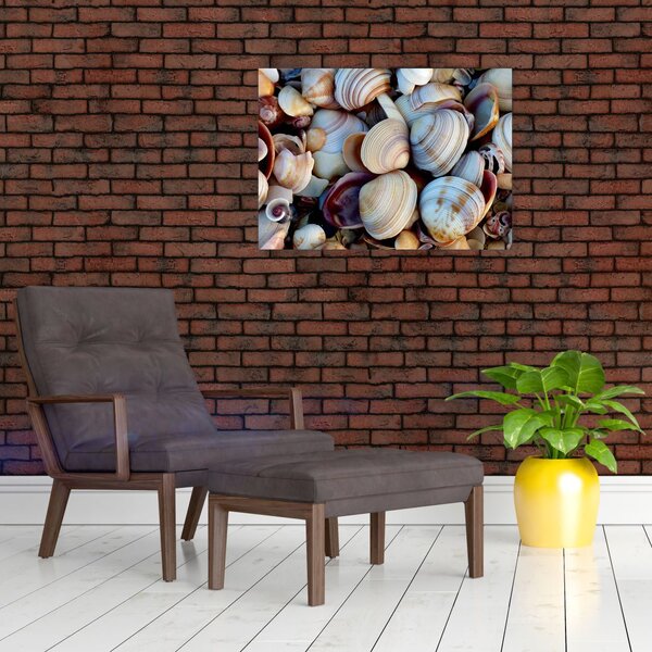Tablou cu scoici (70x50 cm)