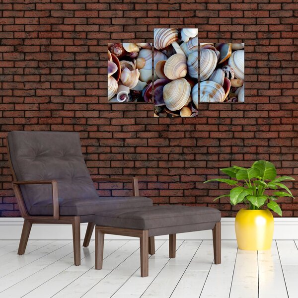 Tablou cu scoici (90x60 cm)
