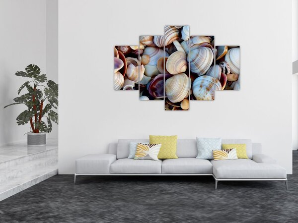 Tablou cu scoici (150x105 cm)