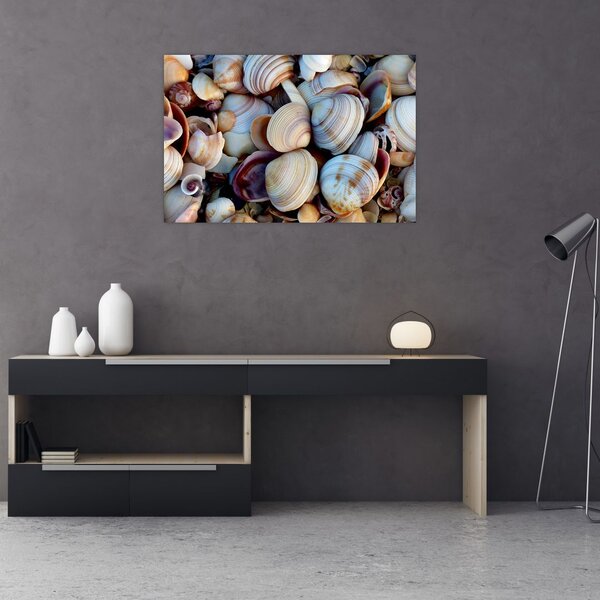Tablou cu scoici (90x60 cm)