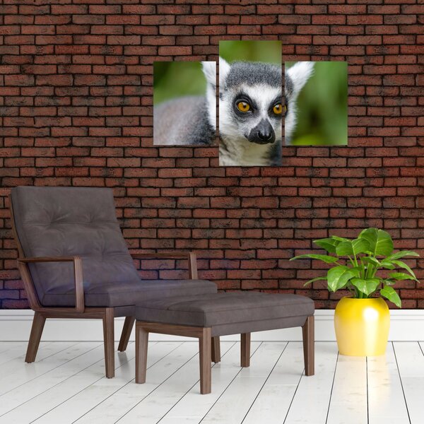 Tablou cu lemur (90x60 cm)