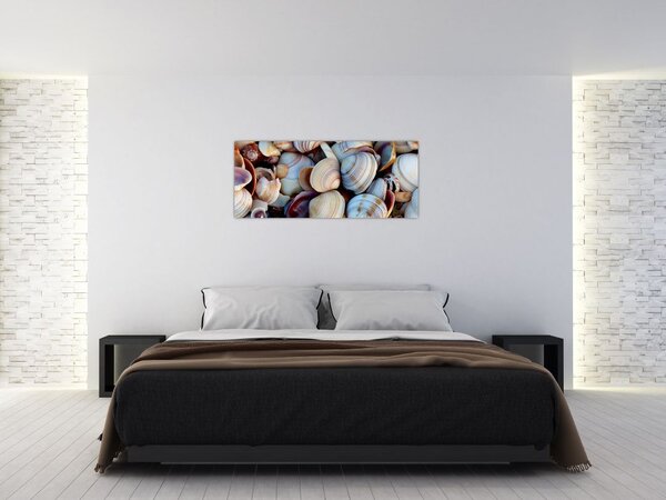 Tablou cu scoici (120x50 cm)