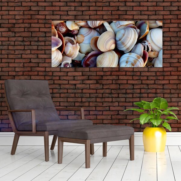 Tablou cu scoici (120x50 cm)