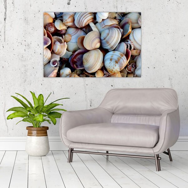 Tablou cu scoici (90x60 cm)
