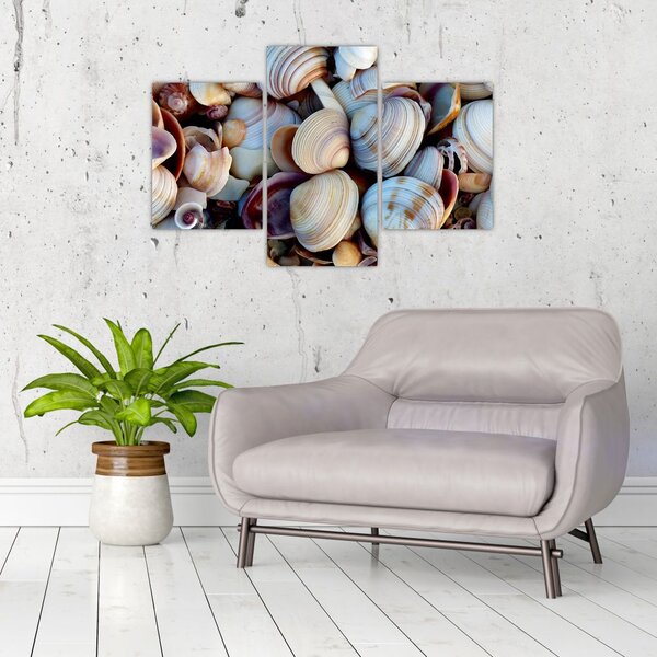 Tablou cu scoici (90x60 cm)