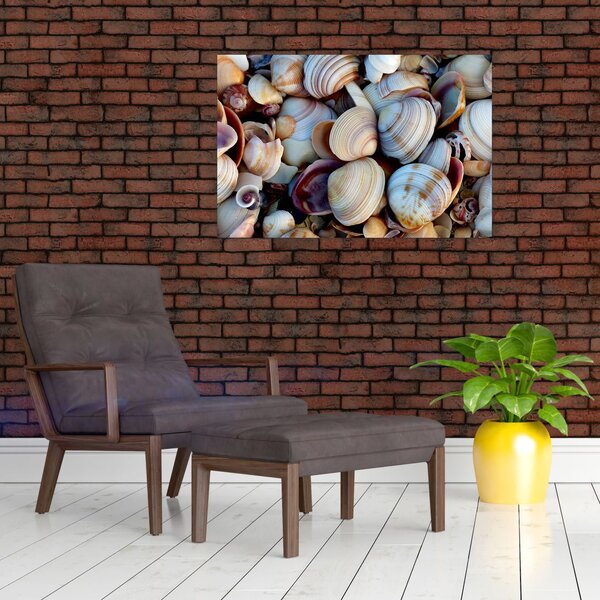 Tablou cu scoici (90x60 cm)