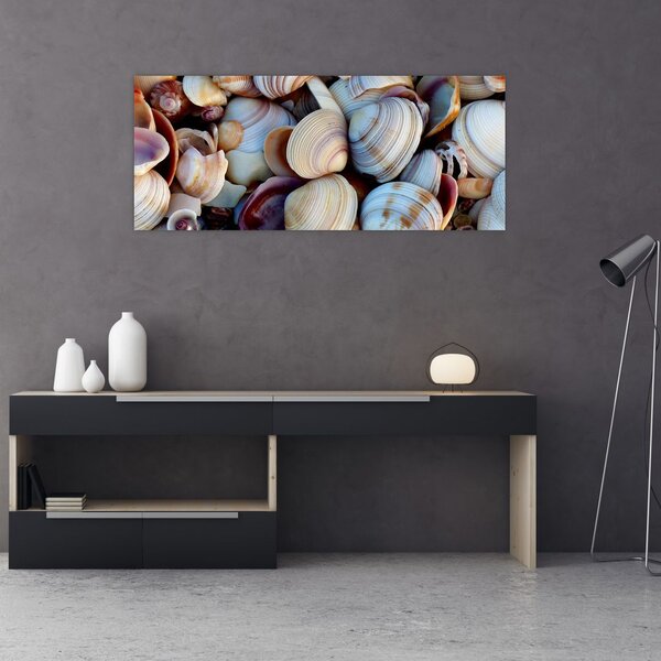 Tablou cu scoici (120x50 cm)