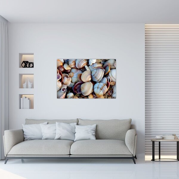 Tablou cu scoici (90x60 cm)