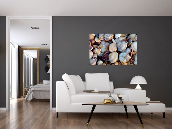 Tablou cu scoici (90x60 cm)