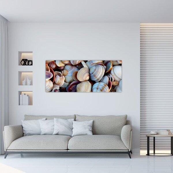 Tablou cu scoici (120x50 cm)