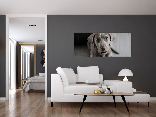 Tablou cu cățeluș (120x50 cm)