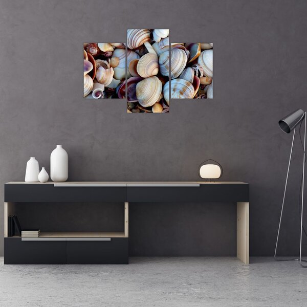 Tablou cu scoici (90x60 cm)