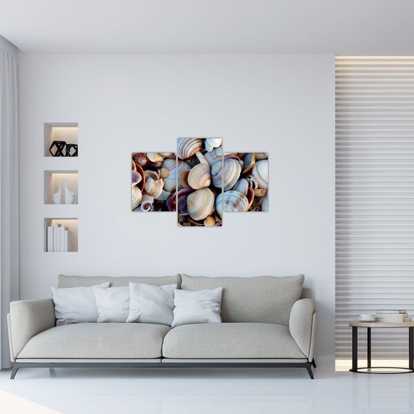 Tablou cu scoici (90x60 cm)