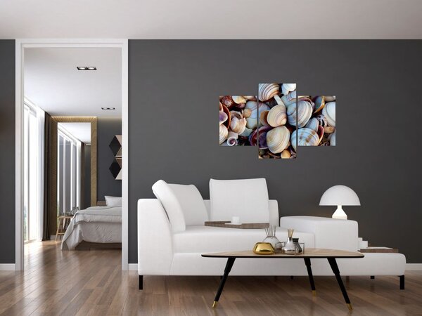 Tablou cu scoici (90x60 cm)