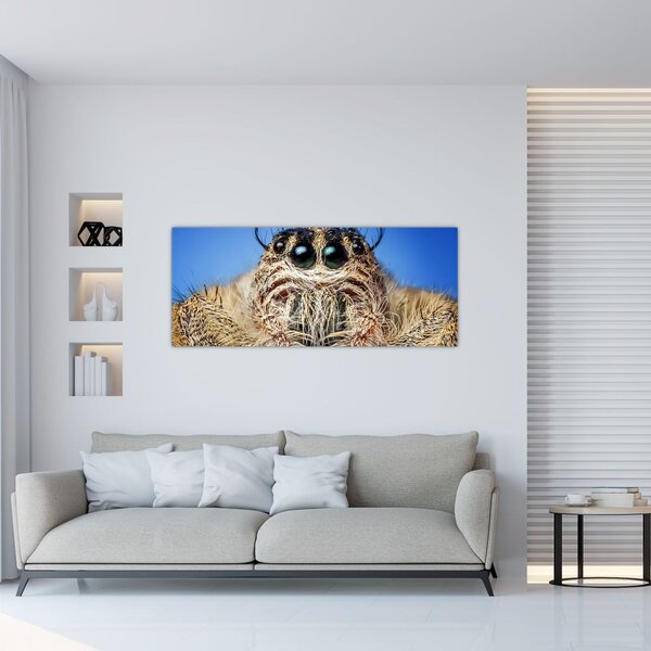 Tablou cu detalii a unui pâianjen (120x50 cm)