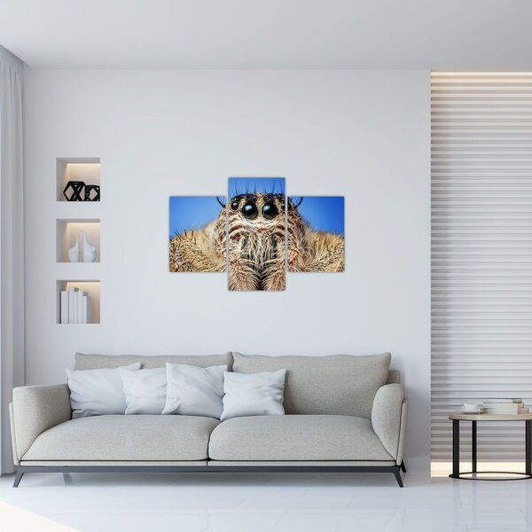 Tablou cu detalii a unui pâianjen (90x60 cm)